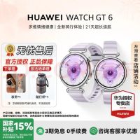 国家补贴：华为 WATCH GT 6 智能手表 41mm 流光紫 氟橡胶表带（北斗、GPS、血氧）