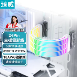 ZHENWEI 24Pin发光线霓虹线 电脑主板供电线延长线