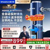 WHEELTON 前置过滤器15T反冲洗自动刮洗抗菌防爆防冻顶置压力表  P0063ultra全钢阀头25微米