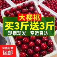 烟台大樱桃 带箱6斤 中大果xl级