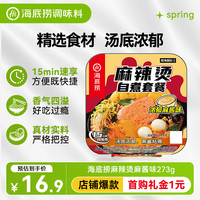 海底捞 自热火锅方便速食加班懒人食品自煮宿舍夜宵大分量b 自热麻辣烫麻酱味273g*1盒