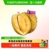 佳沃 泰国进口金枕榴莲 1.5-2kg单果装