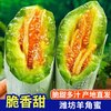 琪江果 山东潍坊羊角蜜甜瓜 4.5斤 3-6根