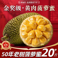 晟容果蔬 菠萝蜜整个当季新鲜水果应季热带海南黄肉菠萝蜜非红肉送礼 20-25斤 50年老树果