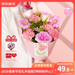 京东鲜花 母亲节主题 粉色款鲜花 1束 花束赠贺卡