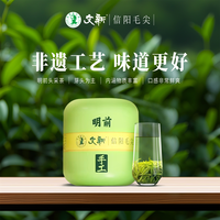 文新 信阳毛尖 一级 50g