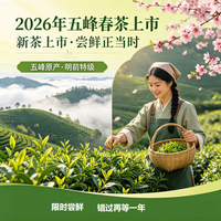 简小禾 绿茶 特级 500g 五峰新茶毛尖口粮茶