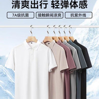 鸭鸭羽绒服 时尚简约 男士Polo衫