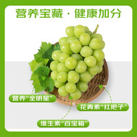 京鲜生 云南阳光玫瑰 净重2.8-3.3斤 单果8-10g葡萄/提子 源头直