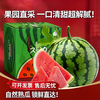 闽域寻鲜 麒麟西瓜现摘速发当季新鲜时令礼盒水果沙瓤云南生鲜水果麒麟西瓜