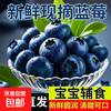 云南 蓝莓鲜果 18mm+ 特大果 100g/盒 12盒