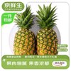 京鲜生 海南芒果凤梨 净重4.5斤单果900g 菠萝新鲜水果生鲜礼盒源头直发 4.5斤单果900g