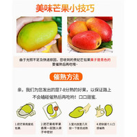 优农海南贵妃芒 特大果 5斤/箱