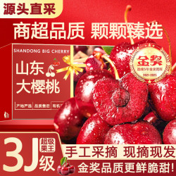 鲁道鲜 山东大樱桃车厘子樱桃新鲜水果送礼 4斤(净重) 整箱5斤礼盒 精选 XL