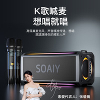 索爱 SH05音响大功率家用K歌户外广场舞车载大音量低音炮唱歌音箱