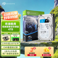 希捷 垂直盘 监控硬盘+螺丝刀SATA线套装