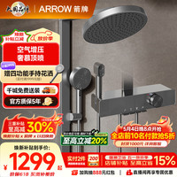 箭牌 K530 AE34216MZCP 淋浴花洒套装 灰色