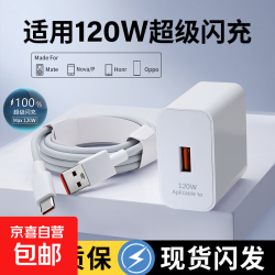 适用华为荣耀OPPO超级快充120W/100W/66W/40W充电器超级闪充电头快充数据线套装插头 适用120W超级快充+1.5米快充线