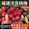 夏橙益佳 福建漳州浮宫杨梅 5斤单果20g+
