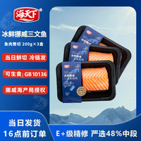 海天下 HAITIANXIA 海天下 挪威冰鲜三文鱼中段 200g×3