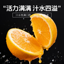 天乐优选 纽荷尔脐橙橙子脐橙新鲜脐橙新鲜橙子当季水果整箱 带箱10斤单果约100g净重9斤