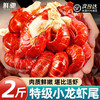 鲜驰 小龙虾尾 熟冻特级麻辣虾球固形物含量≥60%冷冻虾尾夜宵烧烤食材 特级2斤