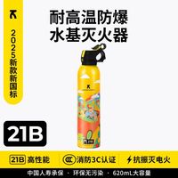 水基灭火器620ml 21B高性能 商铺家用灭火器新款防爆新国标车用灭火器