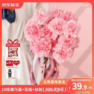 京东鲜花 限时1小时 母亲节花束 康乃馨20枝+花瓶+卡片源头直发
