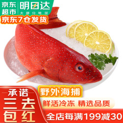 哆鲜生 海捕东星斑 650-550g
