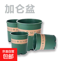 京喜 花盆绿植盆栽 加仑盆 0.5加仑 口径11cm 配套托盘