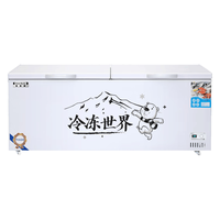  星奥雪 一级能效 冰柜