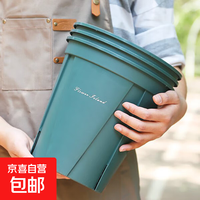 控根2号（口径15cm）1个盆 不带托盘