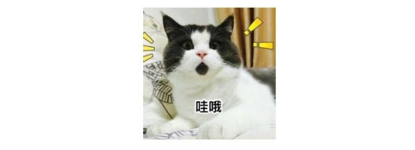 舒达床垫年度超值大促，爆款床垫至高省 40%，闭眼入不亏~