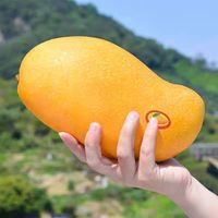 乌仙子 精选海南黄皮金煌芒果 4.5斤【单果400g-600g】特大果
