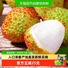 淘天然 海南妃子笑新鲜荔枝4.5斤