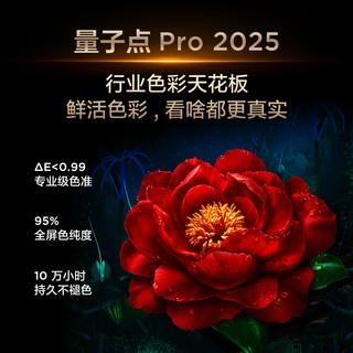 TCL 75Q9L Pro QD-Mini LED 蝶翼星曜屏 75英寸 电视+影视会员套装