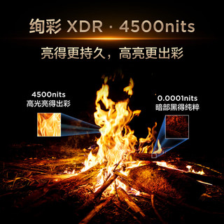TCL 75Q9L Pro QD-Mini LED 蝶翼星曜屏 75英寸 电视+影视会员套装