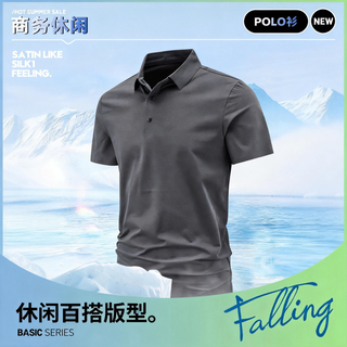 狮卡赫 男式速干POLO衫 铁灰 2XL
