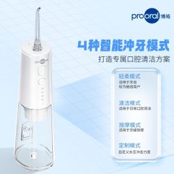 博皓 F41 电动冲牙器