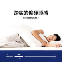 蓝盒子 偏硬支撑 床垫  Z1小石头 20-25cm（含） 180*200cm
