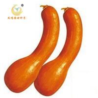凤鸣雅世 南瓜种子 10粒