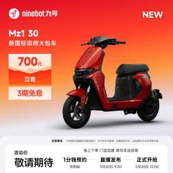 九号 Mz1 30 新国标电动自行车