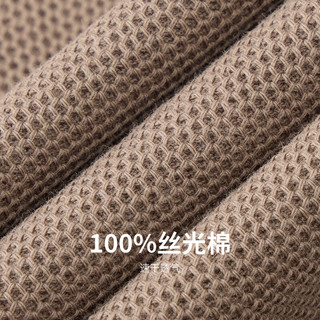 FIRS/杉杉 100%棉丝光垂顺轻薄透气男POLO衫