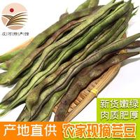 鲜姿 东北紫豆角速冻油豆角 2斤