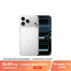 Apple iPhone 17 Pro Max 5G手机 256GB 银色