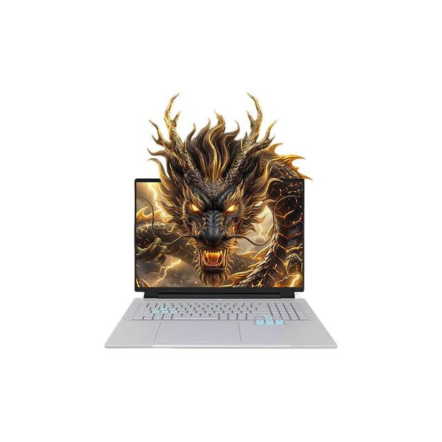 机械革命 苍龙18Pro(R9-8945HX、5060、16G、1TB）