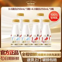 每日鲜语 鲜牛奶3.6蛋白250ml*3+4.0蛋白250ml*3巴氏杀菌低温奶