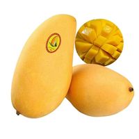 CLCEY 海南 特大果 金煌芒.4.5斤装 单果400-500g