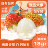 夏橙益佳 应季水果新鲜荔枝 5斤