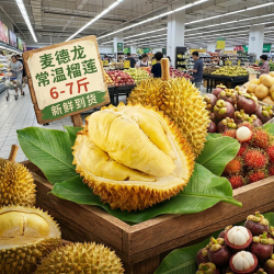 METRO 泰国A级金枕鲜榴莲（保四房）6-7斤